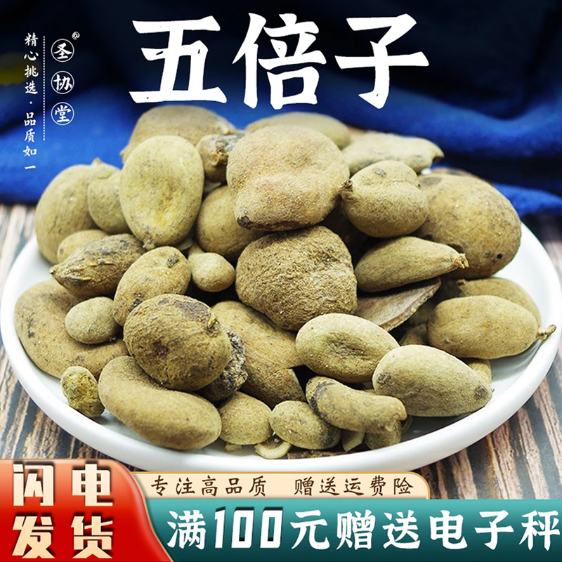五倍子50-500克 中药材包邮当季新货百虫仓可磨五倍子干粉生肚倍
