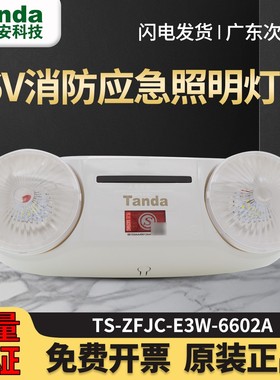 泰和安E3W-6602A/E5W-6601B疏散应急双头灯3W5W集中电源应急灯36V