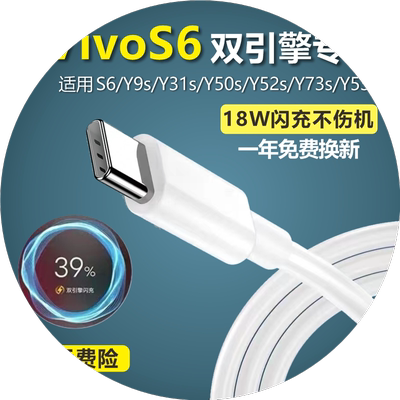 适用VivoS6充电器原装快充S6充电线手机S6原装数据线18w闪充typec