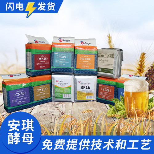 安琪啤酒干酵母粉cs31bf16cn36