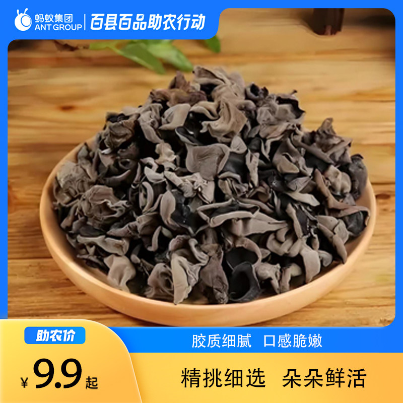 助农为乐礼县土特产椴木黑木耳春木耳无根干货