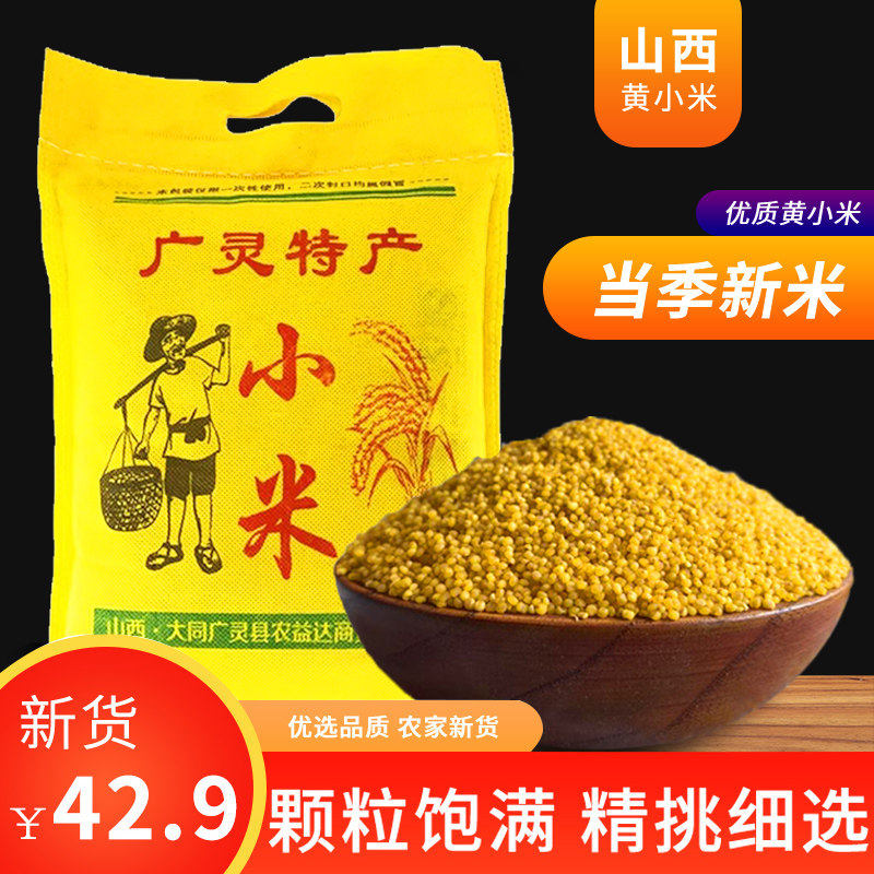 山西大同广灵黄小米特产