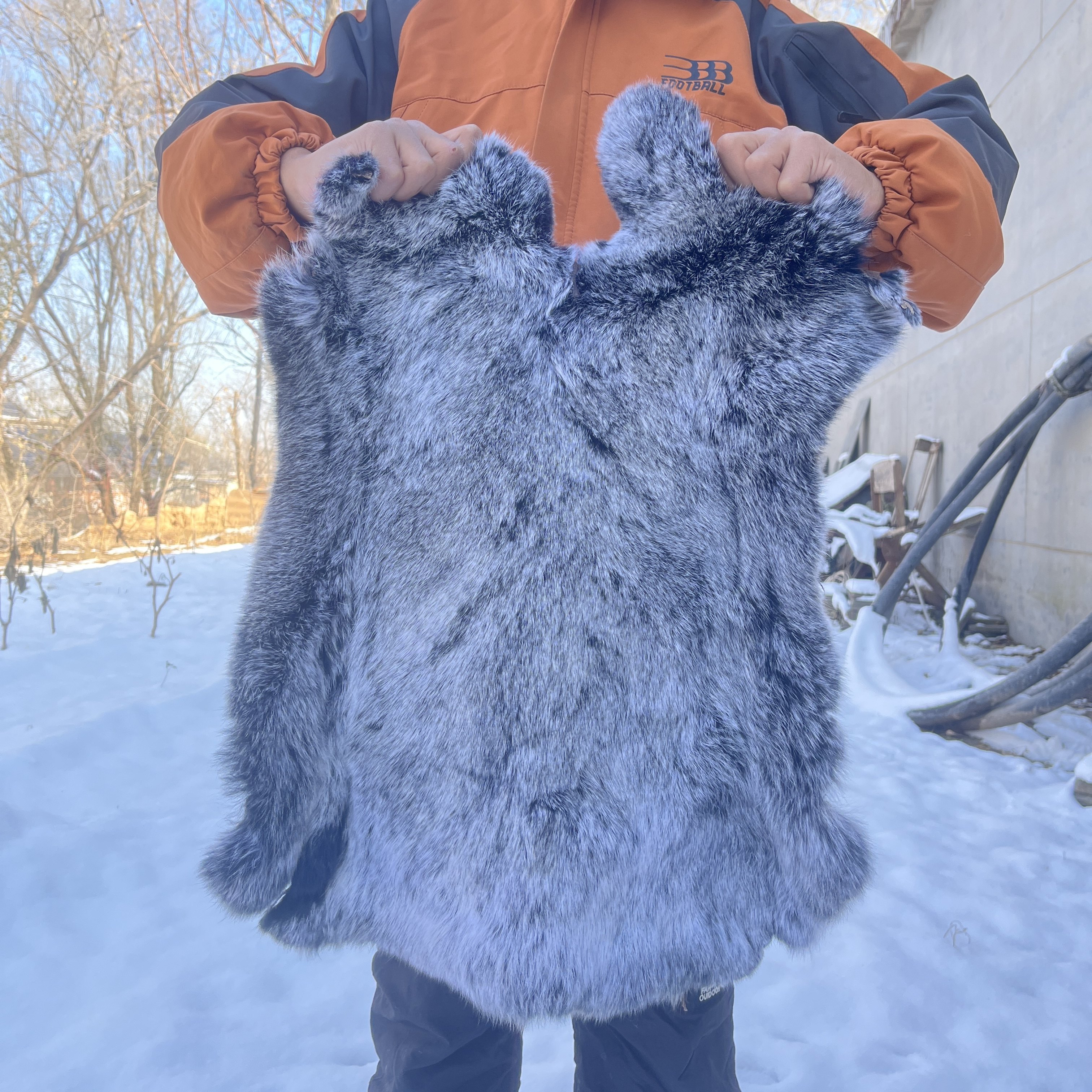 大尺寸整张獭兔家兔皮真皮草原料领子围巾袖口包皮毛一体帽子护膝,服饰配件/皮带/帽子/围巾,布面料,淘宝优惠券,粉丝福利购,淘宝优惠卷