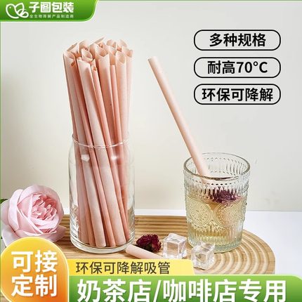新款火龙果一次性吸管全降解填充奶茶店咖啡店商用ins风厂家直发