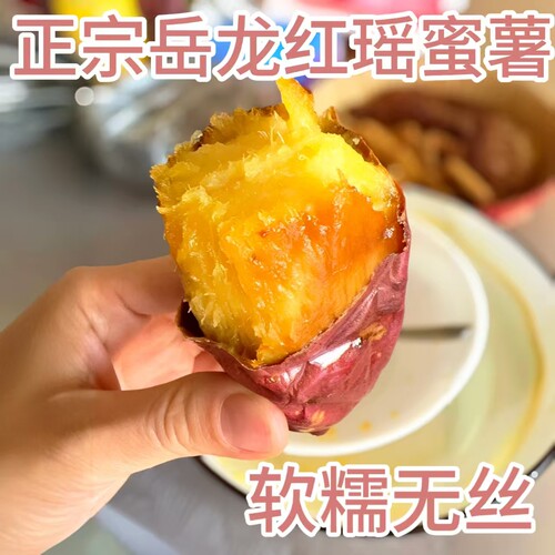 天津岳龙红瑶红薯蜜薯软糯香甜当季新鲜番薯已糖化农家自种特甜