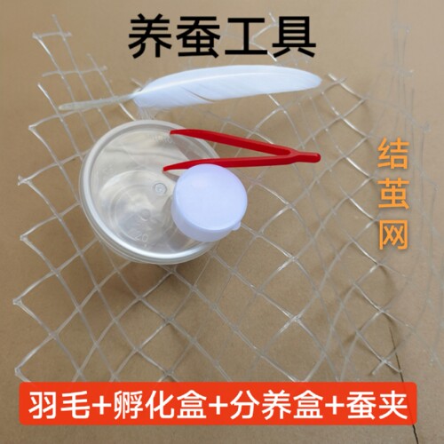 养蚕工具鹅毛羽毛结茧网蚕宝宝12345龄蚕饲养工具饲养盒分养盒