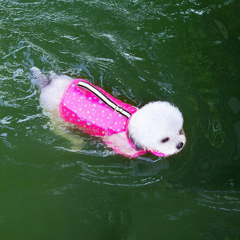 夏季动物造型小蜜蜂狗狗救生衣中型小型犬通用狗狗泳衣宠物浮力衣