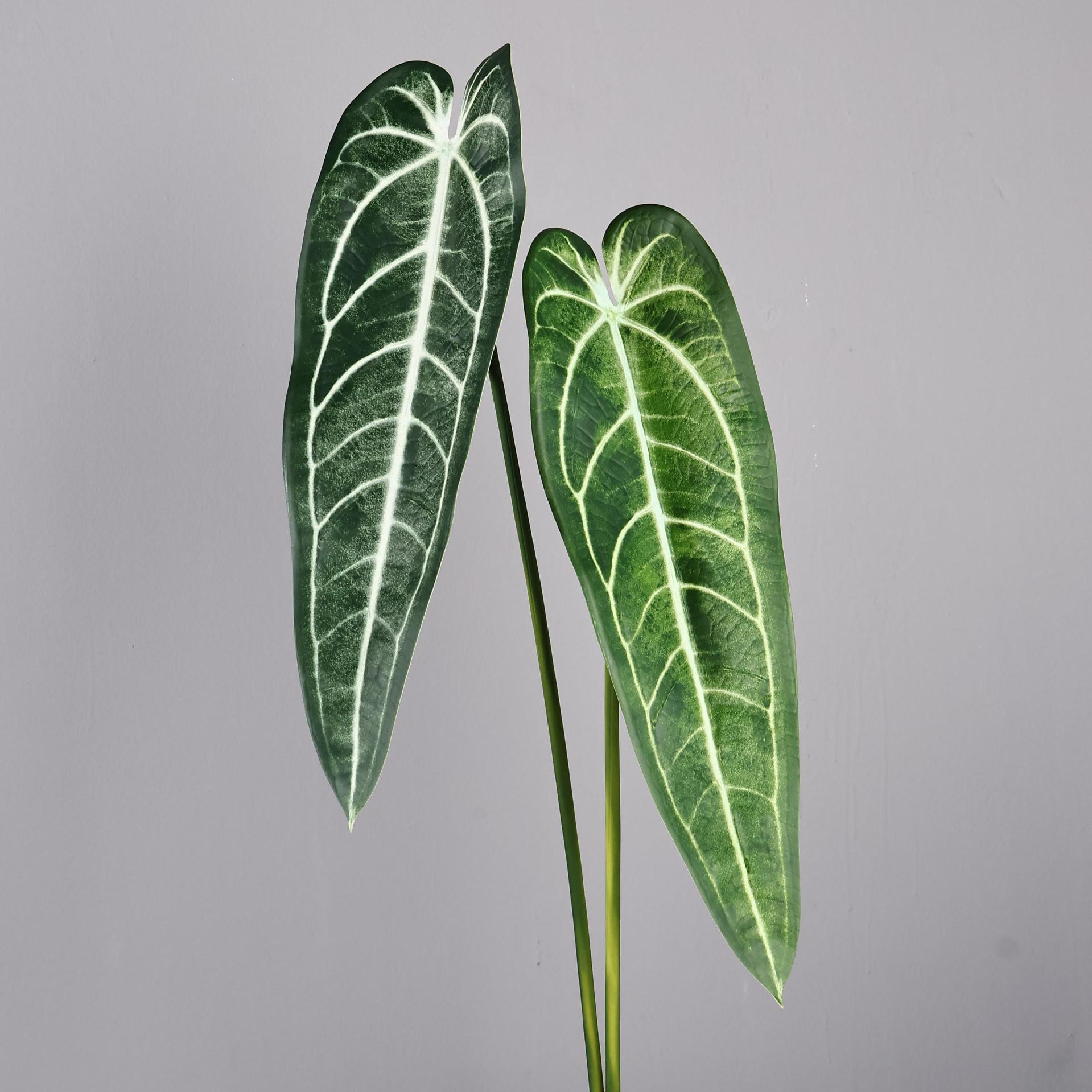 芋叶海棠叶仿真绿植景观
