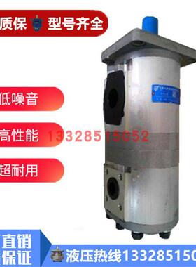 合肥长源齿轮泵CBNL-F563/532-BFHL CBNL-F540/520-BFHL修理包BFP