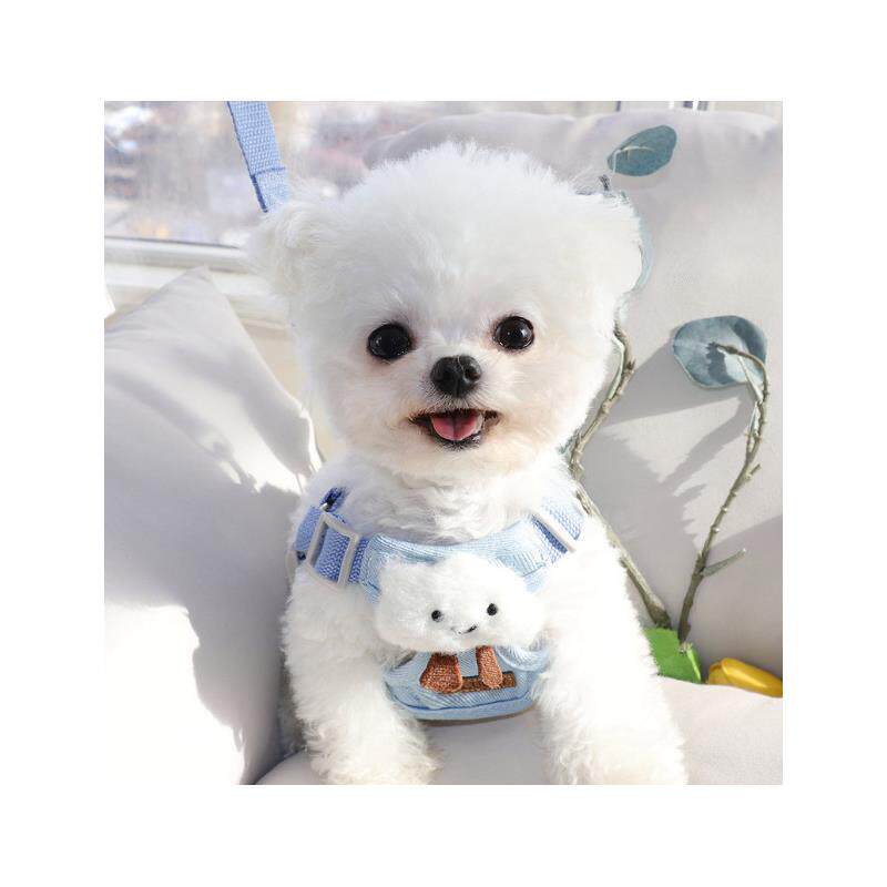 小狗狗牵引绳背心式遛子