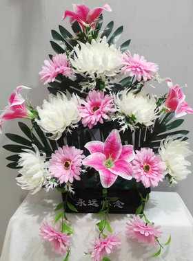 17头小理菊清明节上坟用