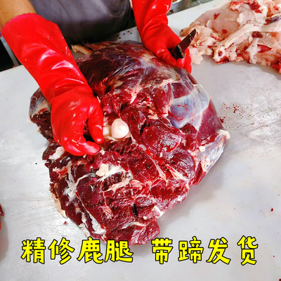 东北梅花鹿腿白条鹿腿肉5斤