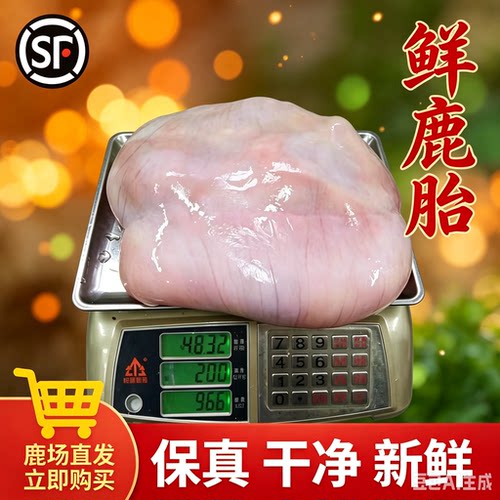 吉林梅花鹿鲜鹿胎熬鹿胎盘原料
