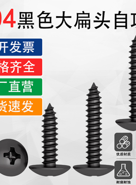 黑色304不锈钢十字大扁头自攻螺丝钉蘑菇头TA伞头M3M4.2M5M6*8x38