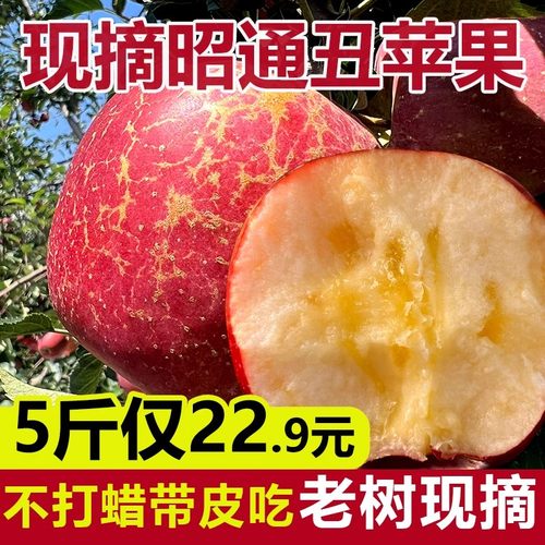 纯甜无酸昭通直发丑苹果