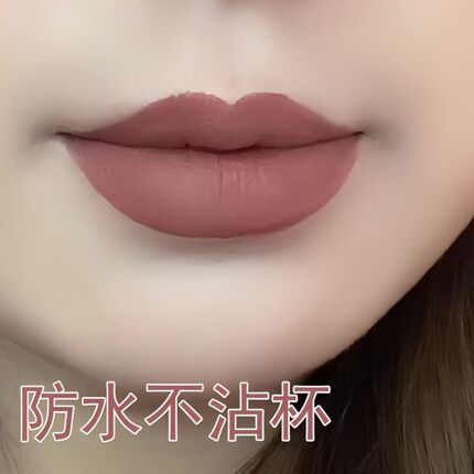 新款不掉色不沾杯复古姨妈肉桂奶茶色口红哑光持久保湿防水显白女