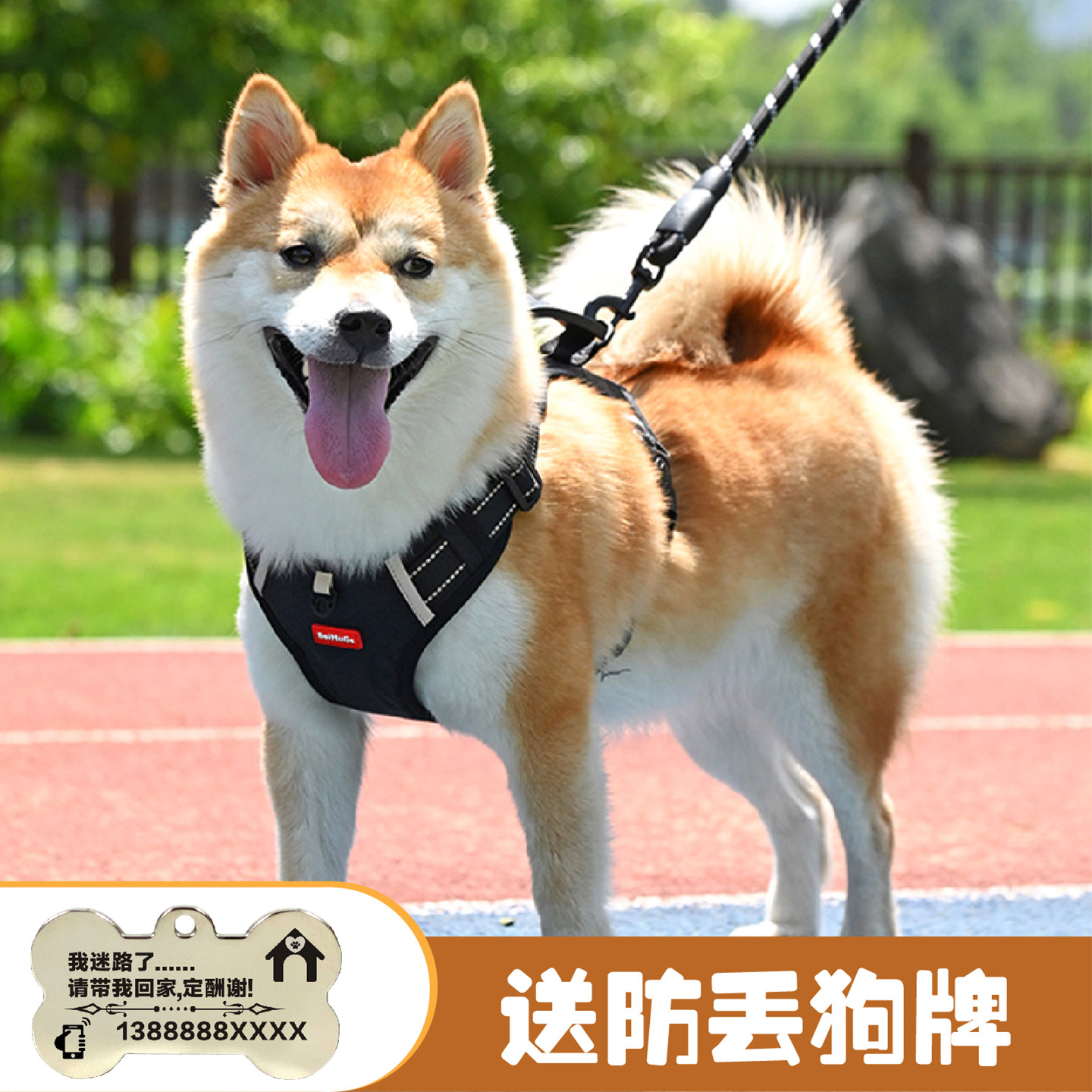 狗狗背心式牵引绳中小型犬柴犬柯基犬专用幼犬可调节胸背带遛狗绳