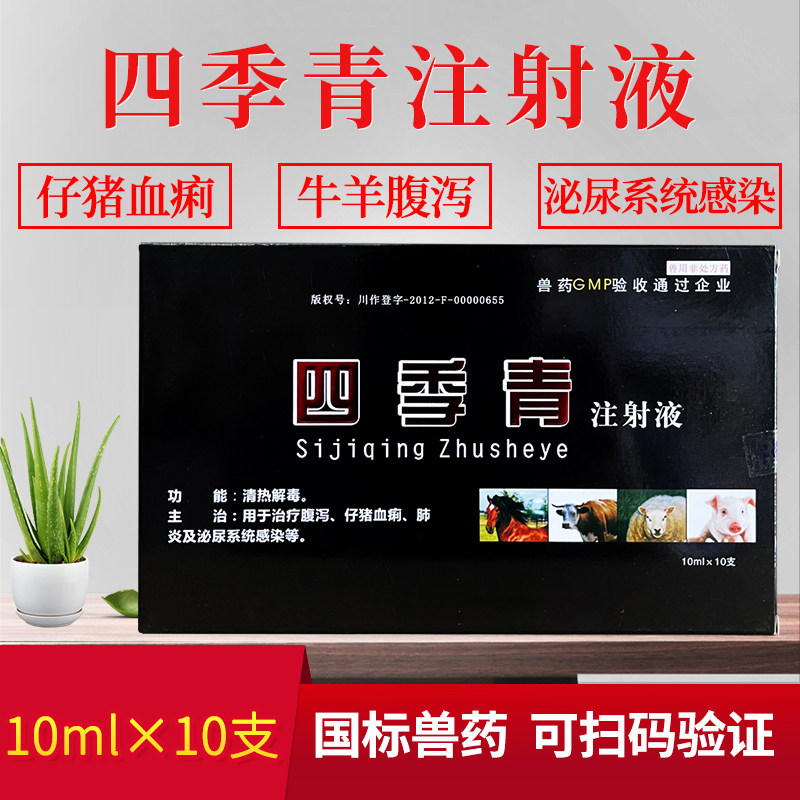 四季青注射液兽用猪用牛马小猪血痢黄白痢仔猪兽药止痢散羊拉稀药