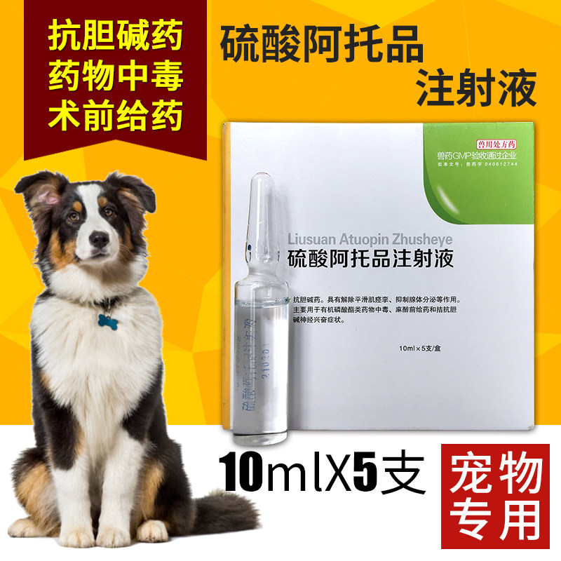 狗中毒解药阿托品注射液百毒解狗狗猫磷中毒解毒剂宠物呕吐止吐宁
