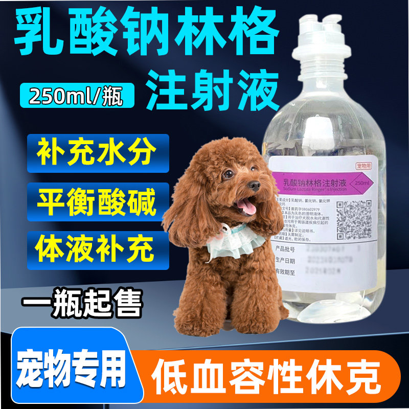 乳酸钠林格液注射口服猫咪狗补液电解质犬瘟细小宠物狗狗肾衰脱水