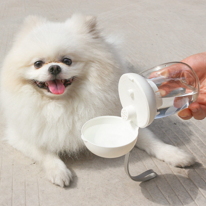 宠物用品水杯猫狗户外水