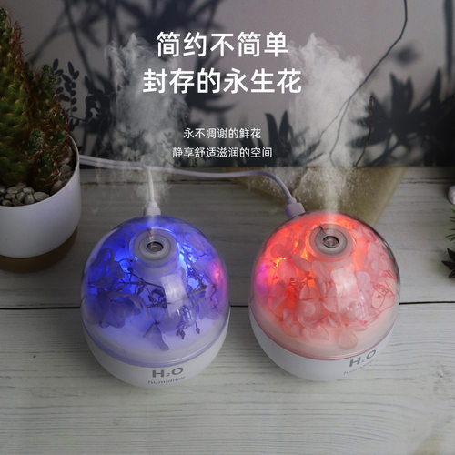新款永生花加湿器便携车