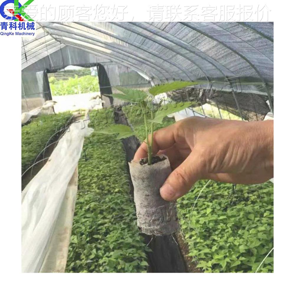 无纺营养钵育机 全苗苗自动育压块机ABP 自动计数蔬菜育布苗成型