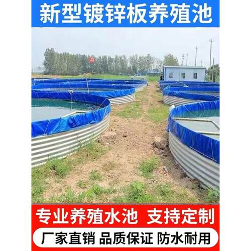 大型镀锌板帆布鱼池高密度养殖池加厚防水刀刮布蓄水池养鱼池全套
