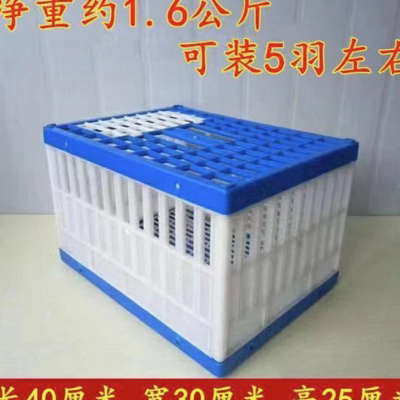 鸽具/放飞笼/训放笼/报道笼/信鸽塑料笼/鸽子笼/信鸽笼/包邮