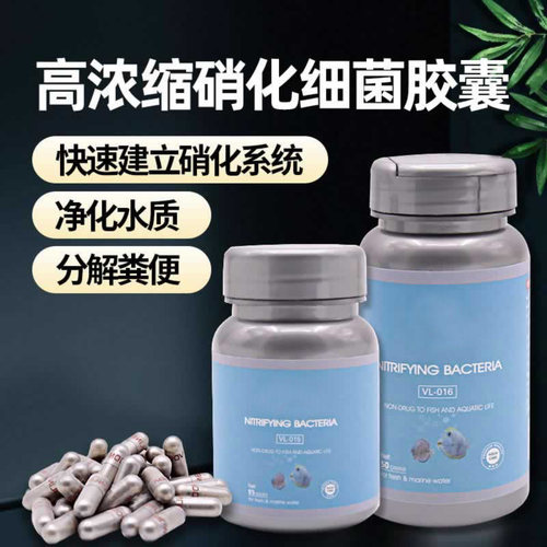 鱼缸净水空气缸硝化细菌水质清澈