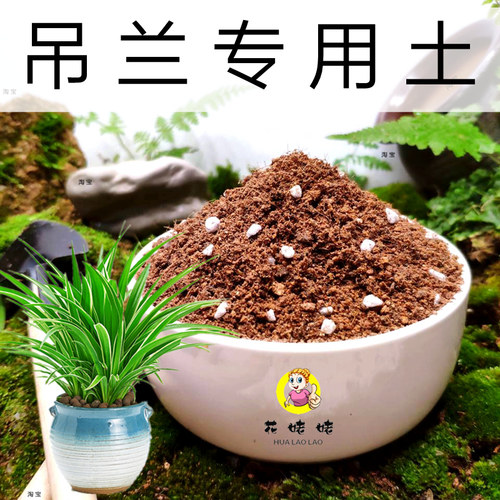 花姥姥基地配方土！新土！生根快