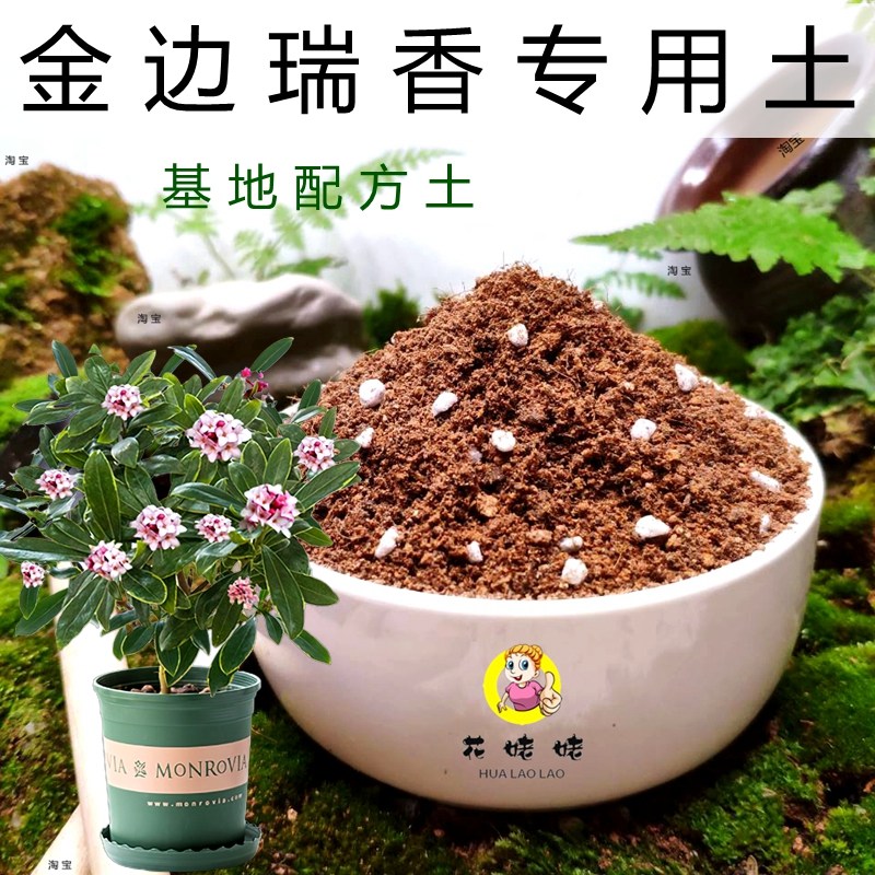 金边瑞香专用土养花通用型营养土多肉盆栽培植土育苗有机土壤特配