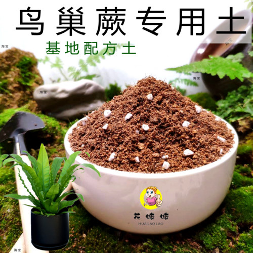 花姥姥基地配方土透气卫生营养足