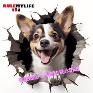 立体3d视觉创意贴纸可爱狗狗墙贴房间墙角装饰墙面壁画自粘搞怪贴