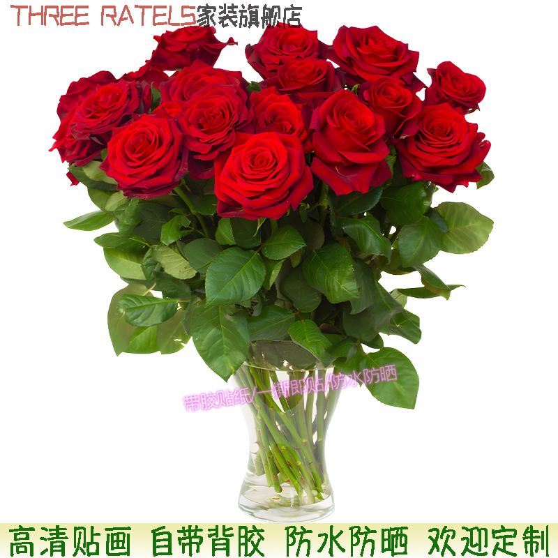 红玫瑰爱心花瓶贴画深粉贴墙印花冰箱门窗床头贴纸自贴浪漫装饰画