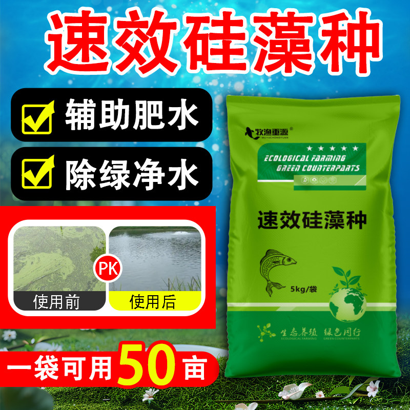 速效硅藻藻种低温肥水培藻补藻小球藻水产养殖鱼虾蟹花白鲢速长肥