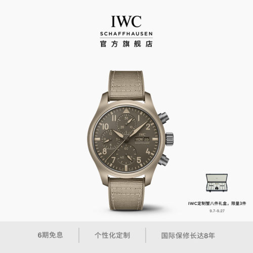 飞行员系列TOPGUN系列计时腕表