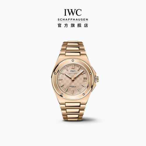 IWC万国工程师系列自动腕表35