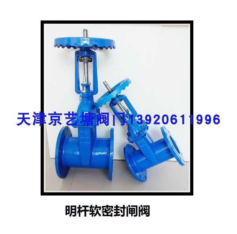 大体明杆弹性座封软密封闸阀Z41X