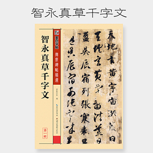 墨点毛笔字帖成人初学者碑帖临摹本智永真草千字文繁体行草书字帖草书字帖成人练字草书字帖字帖