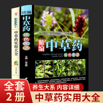 少年读苏东坡儿童文学1-6年级小学生课外阅读书籍中国古代历史名人传传记中国古代名人传记文学经典苏东坡词集青少年课外阅读书籍