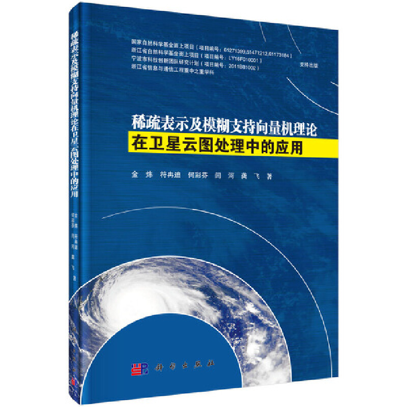 【当当网 正版书籍】稀疏表示及模糊支持向量机在卫星云图处理中的应用