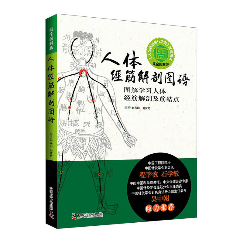 人体经筋解剖图谱 图解学习人体经筋解剖及筋结点