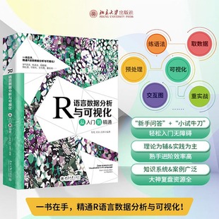 北京大学出版 书籍 理论要点 实战案例 R语言数据分析与可视化从入门到精通 社 正版 当当网直营