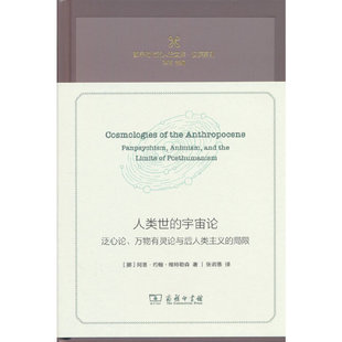 萬物有靈論與后人類主義 局限 宇宙論：泛心論 人類世