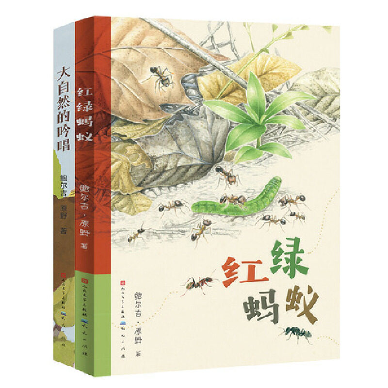 鲍尔吉·原野作品(红绿蚂蚁 大自然的吟唱)