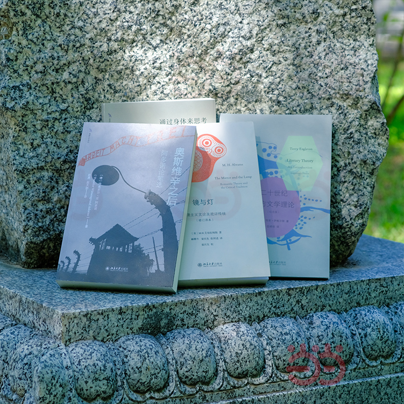 【当当网】20世纪西方文艺学经典著作4册（镜与灯+二十世纪西方文学理论+通过身体来思考+奥斯维辛之后） 北京大学出版社 正版书籍