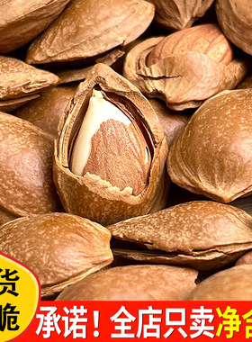 新货开口杏核大颗粒500g净重新鲜带壳杏仁休闲手剥坚果炒货零食