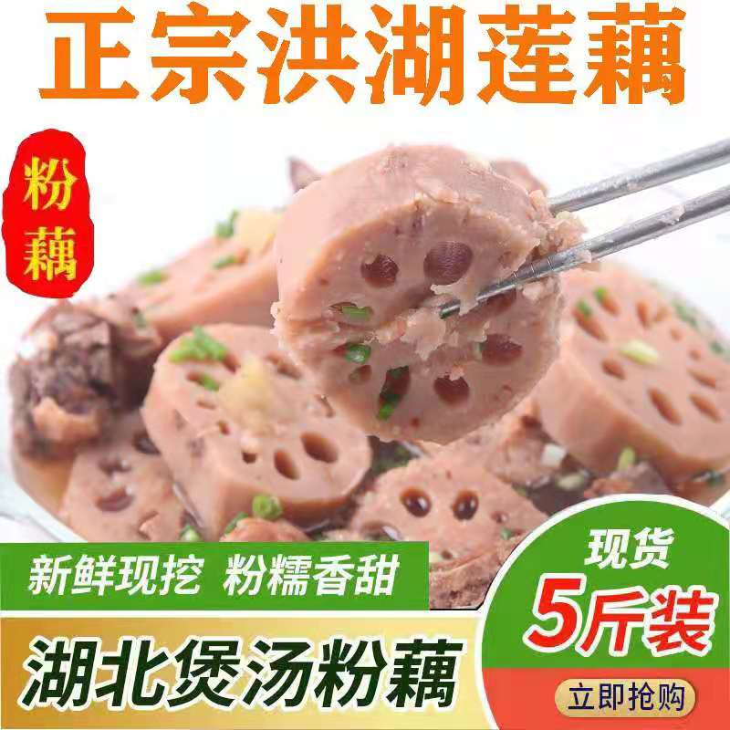 洪湖莲藕新鲜煲汤糯米现挖包邮