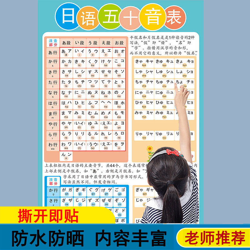 日语五十音图发音单元平假名片假名笔画笔顺贴纸海报贴图墙贴挂图